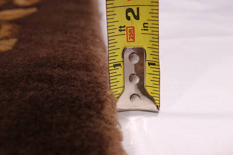 Indo-Tibetan Brown Hand Knotted 811 X 118  Area Rug 301-30841 Image 5