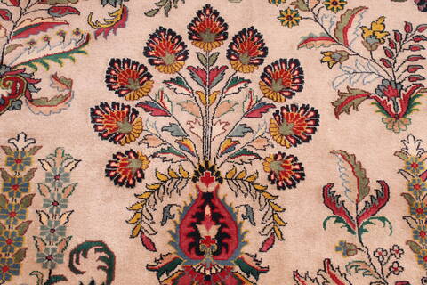 Sarouk Beige Hand Knotted 99 X 1311  Area Rug 301-30891 Image 6
