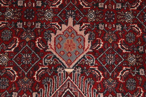 Bidjar Red Hand Knotted 1110 X 150  Area Rug 301-30968 Image 6