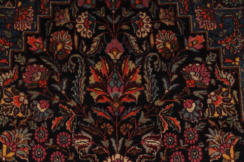 Tehran Multicolor Hand Knotted 48 X 70  Area Rug 254-32044 Image 3
