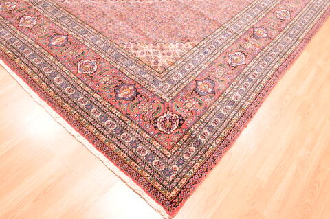 Sarab Red Hand Knotted 1110 X 158  Area Rug 100-75968 Image 5