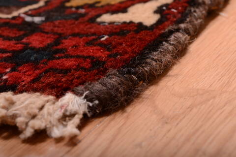 Bakhtiar Red Hand Knotted 1010 X 145  Area Rug 100-75975 Image 8