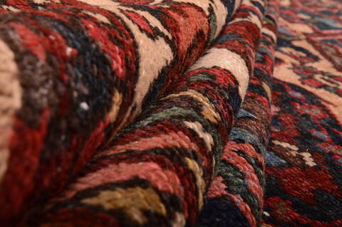 Bakhtiar Red Hand Knotted 1010 X 145  Area Rug 100-75975 Image 9